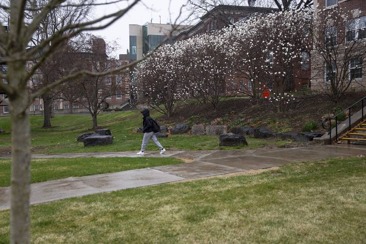 A student walks by the Zantop Garden, a memorial for the late Dartmouth professors Half and Susanne Zantop who were murdered in their home in 2001, next to Rollins Chapel at Dartmouth College in Hanover, N.H., on Thursday, April 18, 2024. James Parker, 39, who is serving a sentence of 25 years to life in prison for killing the Zantops with his friend Robert Tulloch when they were teenagers, was granted parole on Thursday. (Valley News / Report For America - Alex Driehaus) Copyright Valley News. May not be reprinted or used online without permission. Send requests to permission@vnews.com.
